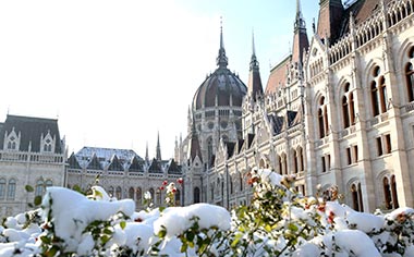 The Parliament Building in Budapest behind a bush covered in snow during winter